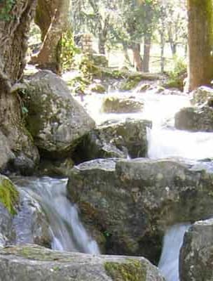 Viaje de fin de curso a Cazorla