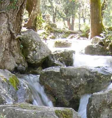 Viaje de fin de curso a Cazorla