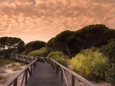 Cádiz y Doñana en barco - Fin de curso en naturaleza