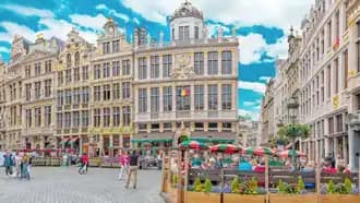 Bruselas al completo – Programa fin de curso escolar