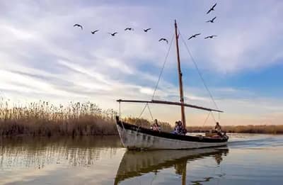 Valencia y la Albufera - Visita para colegios