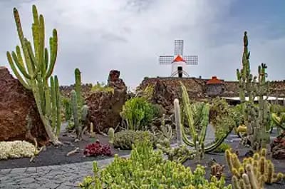 Lanzarote a tu aire – Viaje para grupos