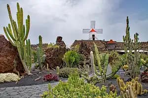 Lanzarote a tu aire – Viaje para grupos