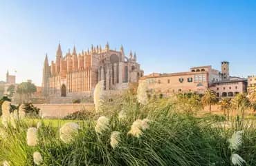 Mallorca y su Catedral — Paseo escolar
