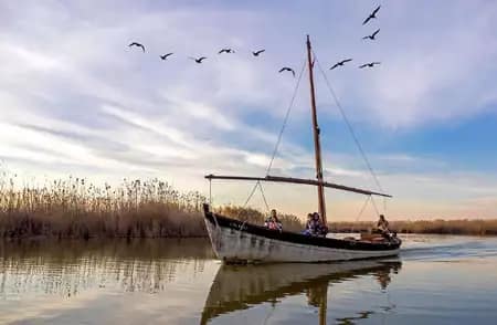Valencia y la Albufera - Visita para colegios
