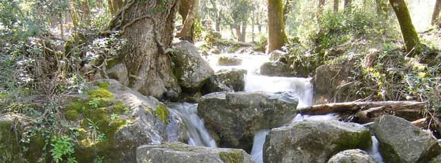 Viaje de fin de curso a Cazorla