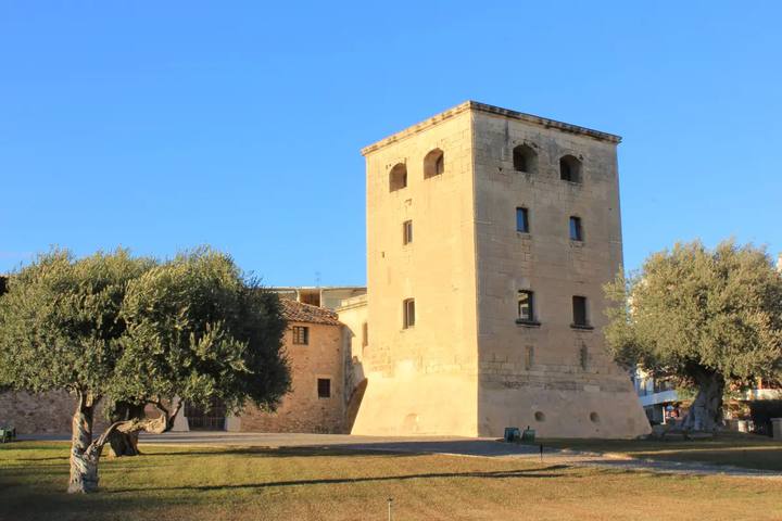 Torre Vella de Salou, torre de defensa del siglo XVI de piedra dorada, entre olivos centenarios bajo un cielo azul