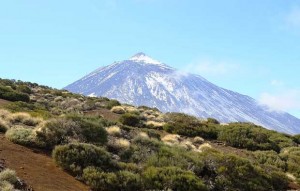 Viaje Fin de Curso a Tenerife